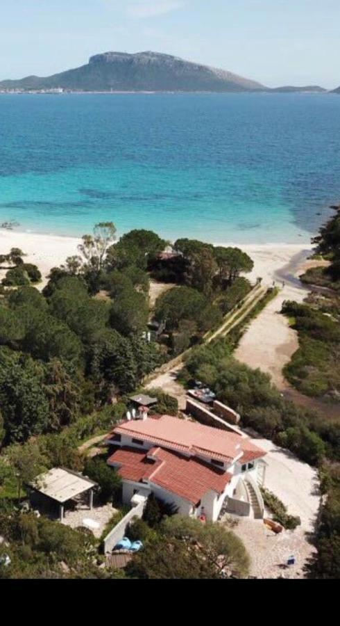 Villa Aranzos Golfo Aranci Exterior foto